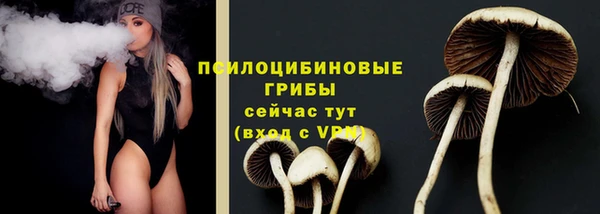 спиды Балахна