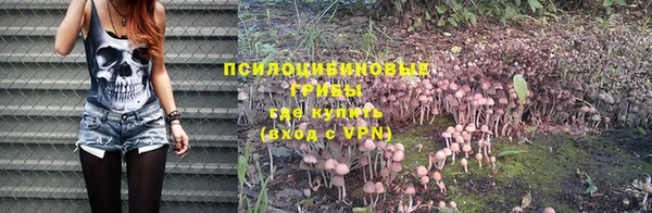 спиды Балахна