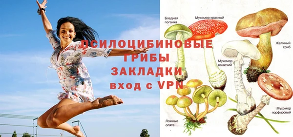 спиды Балахна